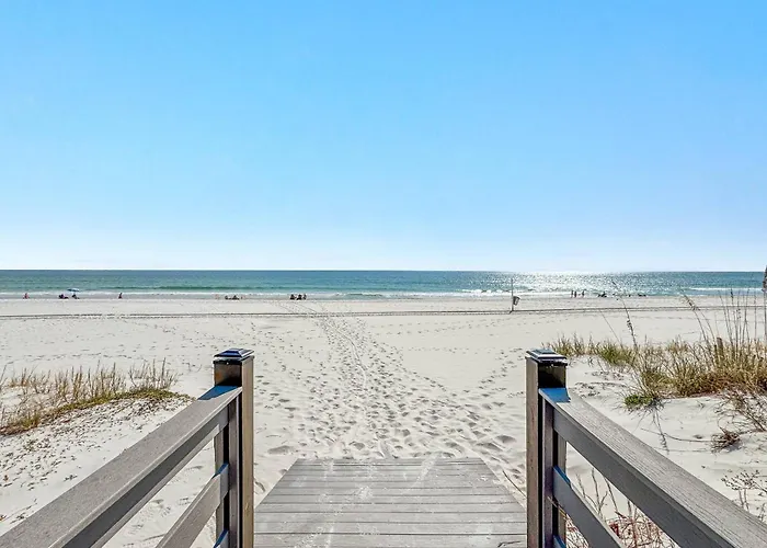 Driftwood * Gulf Shores